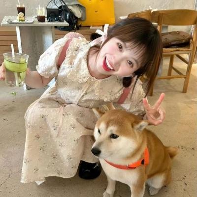 龙之信条